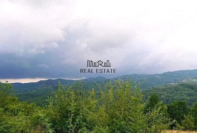 Teren de 4200 mp, în Bulzeștii de Sus