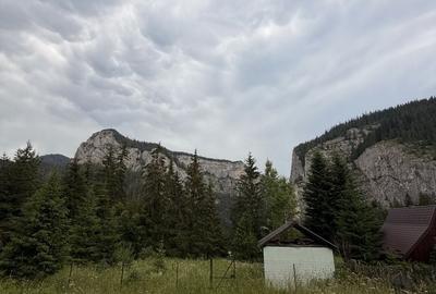 Teren de 817 mp, în Lacu Roșu - 3
