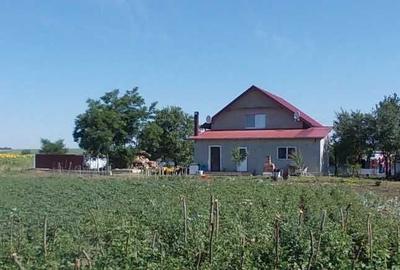 Casă cu 1 camere în Dragalina - 5
