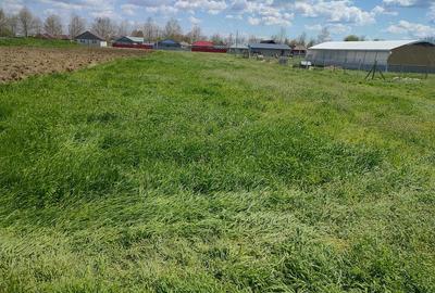 Teren de 2500 mp, în Gropeni