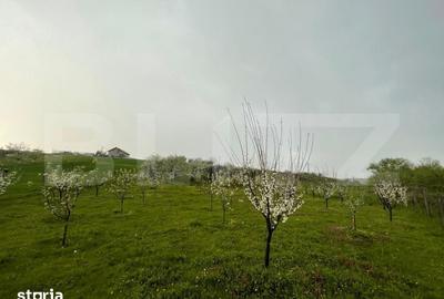 Teren de 4447 mp, în Pielești - 13