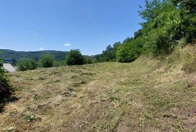 Teren de 1500 mp, în Marginea - 1