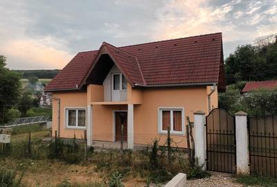 Casă cu 4 camere cu Teren 1600 Mp în Seleuș (Daneș) - 8