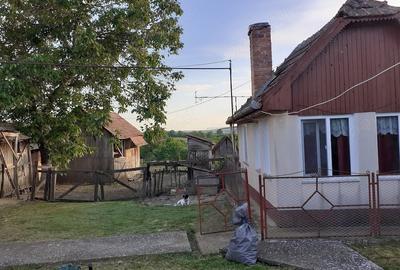 Casă cu 3 camere cu Teren 1800 Mp în Sânger - 1
