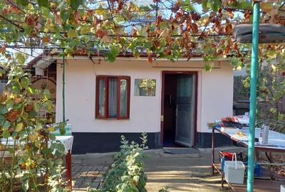 Casă cu 3 camere cu Teren 1274 Mp în Bragadiru - 5