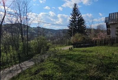 Teren Construcții intravilan de 1800 mp, în Brebu Megieșesc - 11
