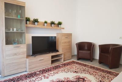Apartament cu 2 camere decomandat în Obcini - 6