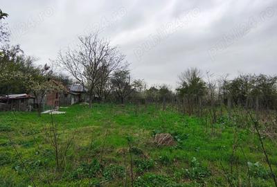 Teren de 1550 mp, în Boldu - 7