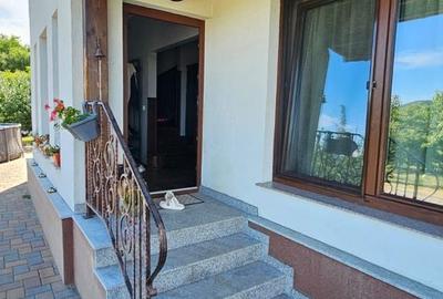 Casă cu 7 camere cu Teren 2870 Mp în Viișoara - 3