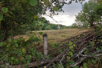 Teren de 3357 mp, în Valea Iașului - 4