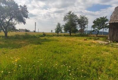 Casă cu 3 camere cu Teren 5000 Mp în Rădăuți