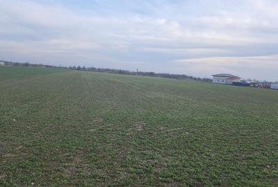 Teren Construcții intravilan de 10000 mp, în Dârza - 1