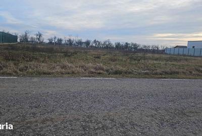 Teren de 1776 mp, în Albota