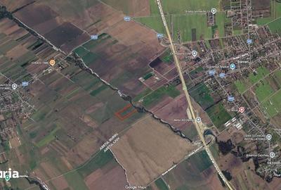 Teren de 5000 mp, în Grădinari - 1