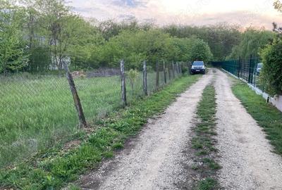 Teren de 510 mp, în Siliștea Snagovului - 3