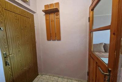Garsonieră decomandată în Teiul Doamnei - 9