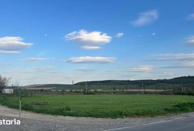 Teren de 10900 mp, în Bălțați - 5