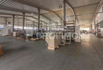 Spațiu industrial, de 2,132 mp, în Sud-Est