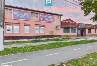 Casă cu 4 camere în Sintea Mică