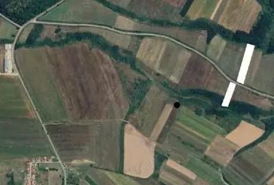 Teren de 8632 mp, în Holod