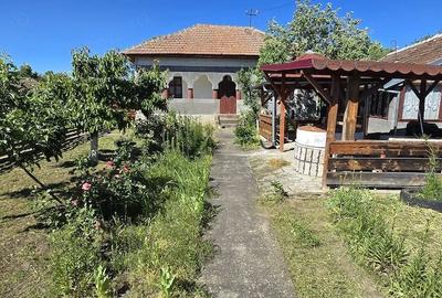 Casă cu Teren 2350 Mp în Jiana - 9