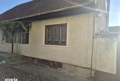 Casă cu 3 camere cu Teren 100 Mp în Tolstoi