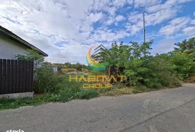 Spațiu comercial, în Tânganu
