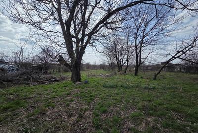 Teren Construcții intravilan de 3842 mp, în Gagu - 2