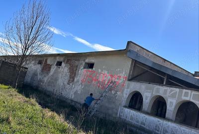 Spațiu comercial, de 1,000 mp, în Punghina - 7