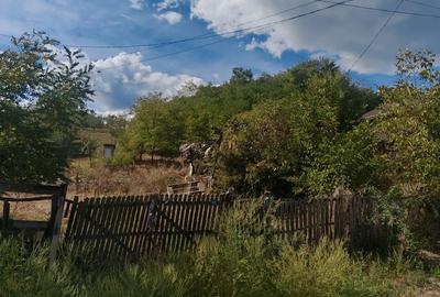 Teren de 500 mp, în Smeura - 2