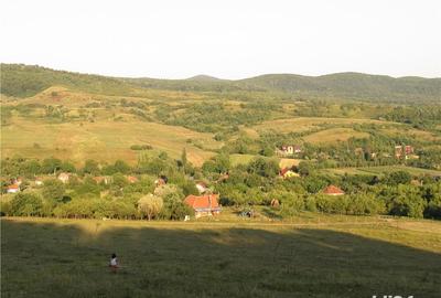 Teren de 18000 mp, în Bârsău - 2