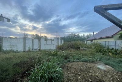 Teren de 9000 mp, în Colțăneni
