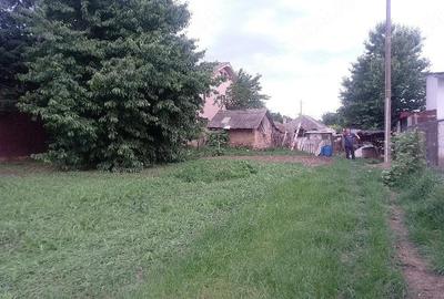 Teren de 500 mp, în Șerbănești - 1