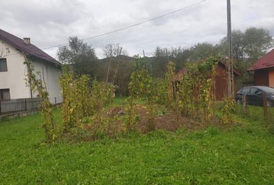 Casă cu 4 camere în Vișeu de Jos