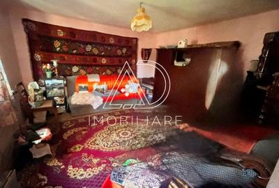 Casă cu 3 camere cu Teren 9730 Mp în Central