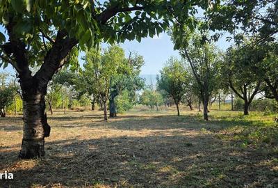 Casă cu 4 camere cu Teren 6377 Mp în Central