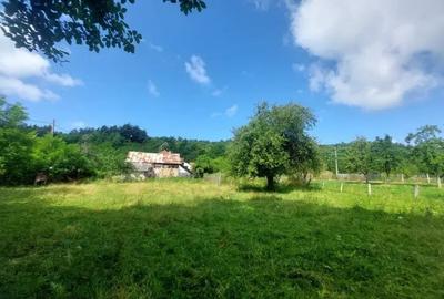 Teren de 1700 mp, în Vlădești