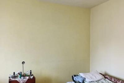 Casă cu 3 camere în Sighetu Marmației - 3