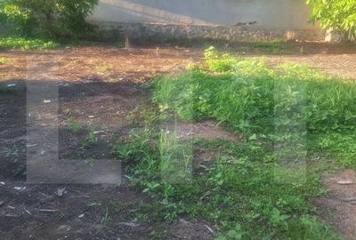 Casă cu 4 camere cu Teren 3500 Mp în Criciova - 3