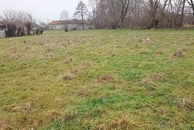 Teren de 3 mp, în Sâmbăta de Sus - 2