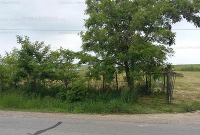Teren agricol extravilan de 1800 mp, în Răucești - 2
