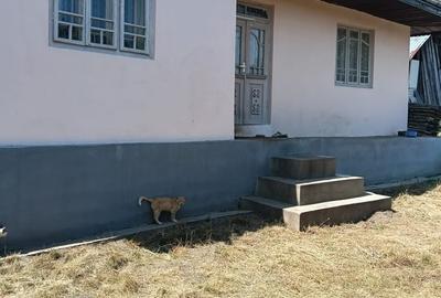 Casă cu 4 camere cu Teren 1100 Mp în Central