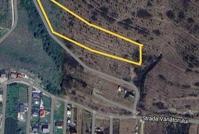Teren de 6500 mp, în Baciu