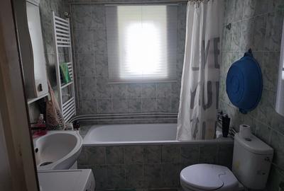 Casă cu 3 camere în Ibănești - 1