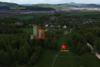 Teren Construcții intravilan de 5261 mp, în Tohănița - 3