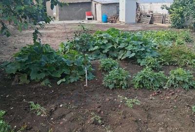 Casă cu 2 camere în Sârbi