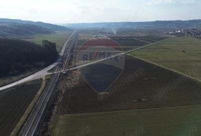 Teren de 19319 mp, în Hoghilag - 5
