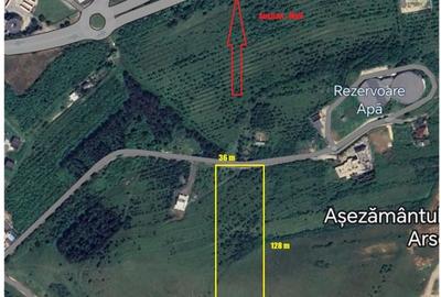 Teren de 4800 mp, în Zăvoi