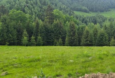 Teren de 300 mp, în Brădățel - 2