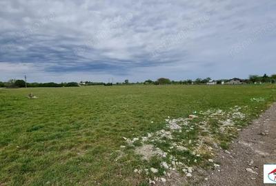 Teren de 5000 mp, în Careiului - 4